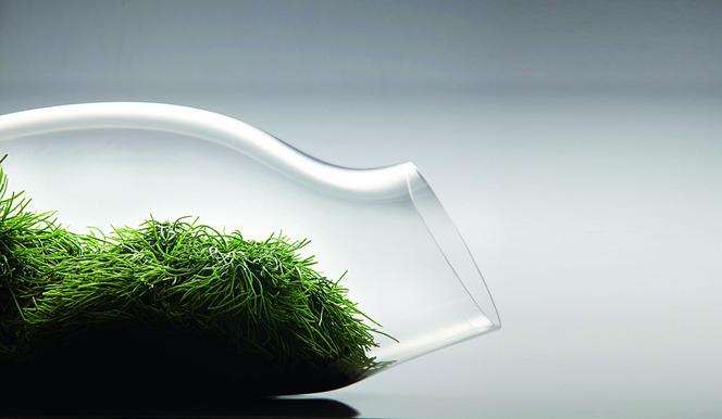 Szklarnie GLASS GARDEN
