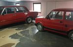 Oszukali ponad stu rolników na miliony złotych! Odbierali zwierzęta, nigdy za nie zapłacili