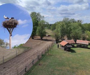 Europejska Wieś Bociania w Pentowie. Unikalne miejsce na Podlasiu