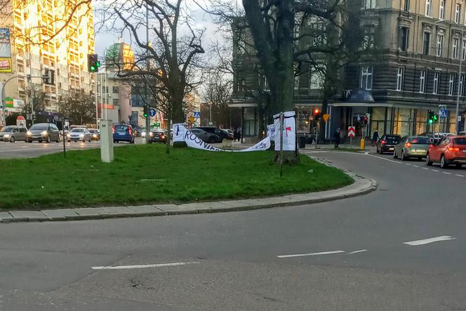 Robicie betonowisko z tego miasta - mocne słowa o wycince drzew w Szczecinie [AUDIO]