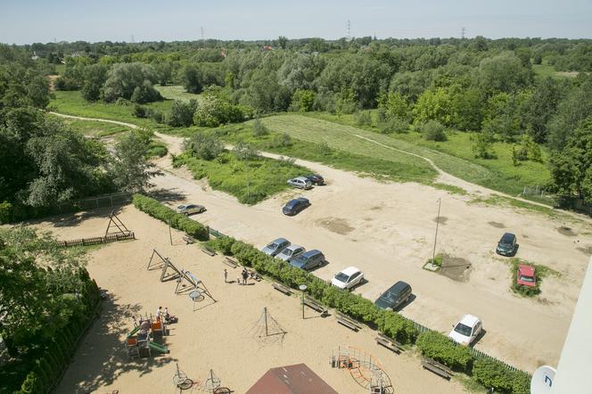 Chrząszcz blokuje budowę drogi