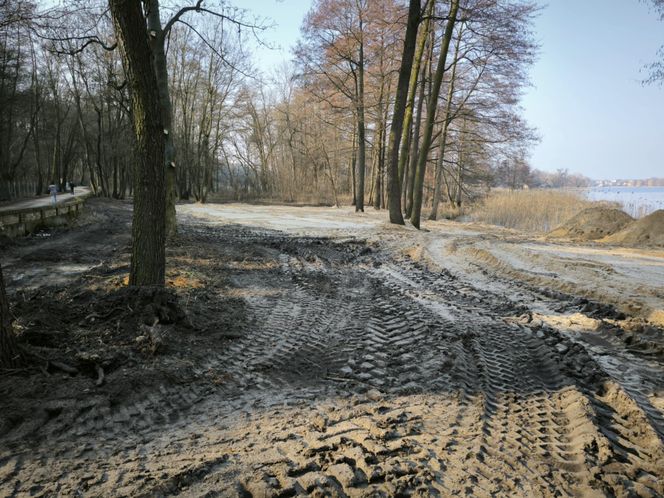 Osieczna przygotowuje plaże na Stanisławówce 