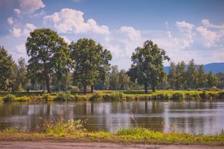 Wiślana Trasa Rowerowa 