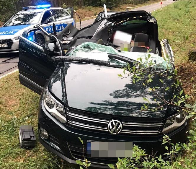 Drzewo spadło na volkswagena. Turysta z Krakowa utknął w aucie