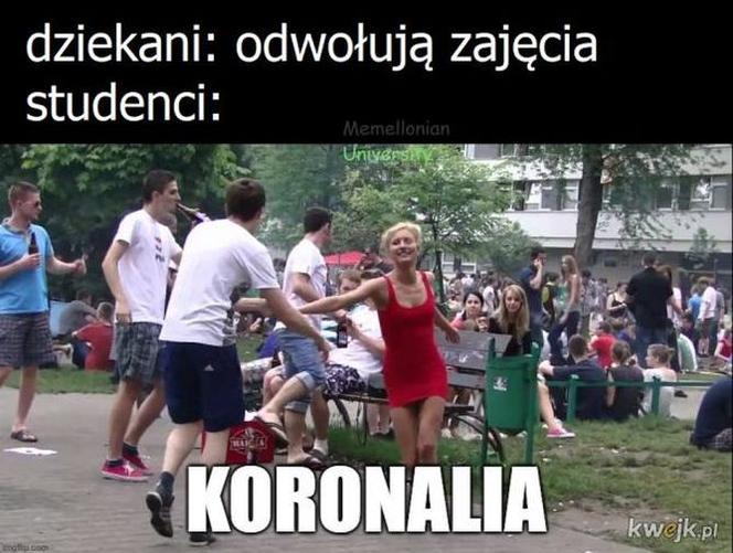 17 listopada. Dzień Studenta. Zobacz najśmieszniejsze MEMY!