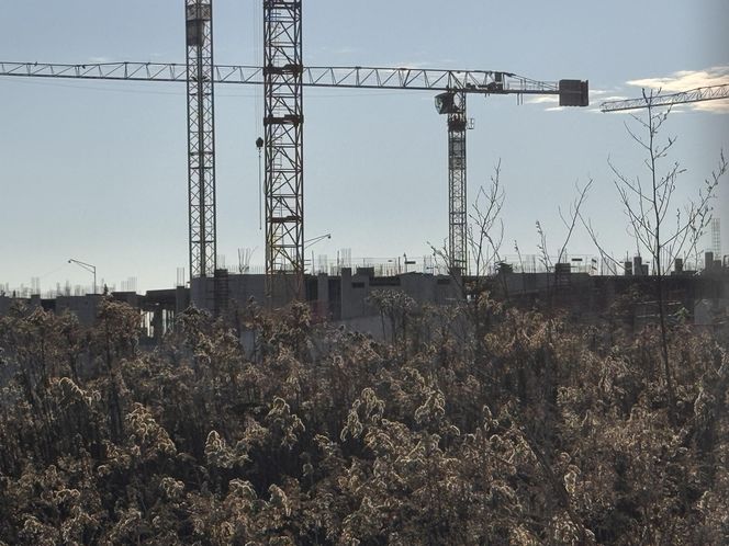 Nowy Szpital Onkologiczny we Wrocławiu rośnie w oczach