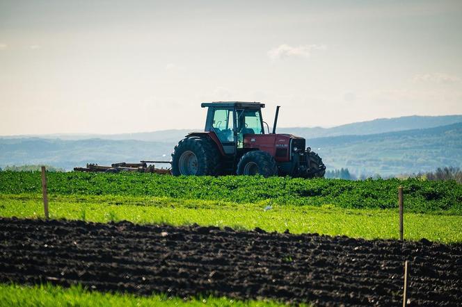 Oto najpiękniejsze wsie na Podkarpaciu. Ranking konkursu "Piękna Wieś Podkarpacka"