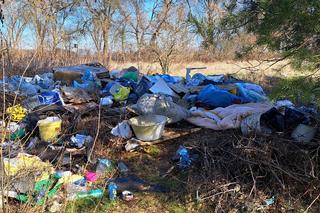 Tona śmieci na działkach pod Gorzowem. Burza w sieci