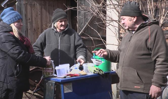 Rolnicy. Podlasie. Gienek i Sławek bielą drzewka. "Idzie jak krew z nosa"