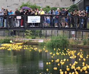 Ster na Bydgoszcz 2023. V Charytatywny Wyścig Kaczek Rotary [ZDJĘCIA]