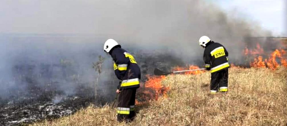 Pożary w Biebrzańskim Parku Narodowym