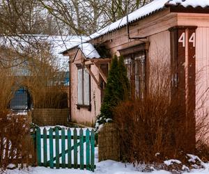 Osiedle Przyjaźń w Warszawie - zobacz zdjęcia pięknych drewnianych domków