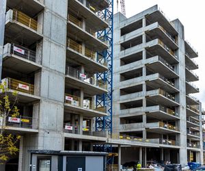 Miedziana 7 - apartamenty M7 oraz inwestycja Towarowa 22