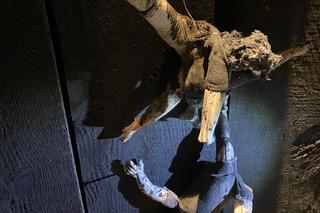 Nowy Teatr Wolność w Białymstoku