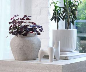 Twoje rośliny ci za nie podziękują. Ceramiczne donice do salonu - jak je wybrać?