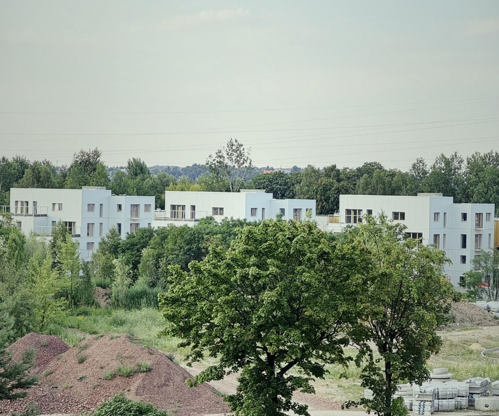 Nowe, białe bloki mieszkalne Osiedla Bolko w Bytomiu w tle, a na pierwszym planie dwa drzewa i dwie osoby siedzące na ziemi, obok których widoczne są zwierzęta i teren budowy, co kontrastuje z tekstem o luksusie w architekturze, dostępnym na Architektura Murator Plus.