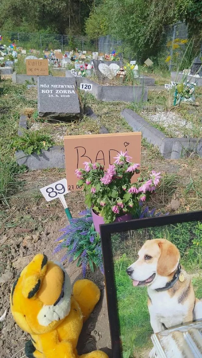 W całym woj. śląskim jest tylko jeden taki cmentarz. Miejsce, gdzie pamięć o pupilu nie umiera