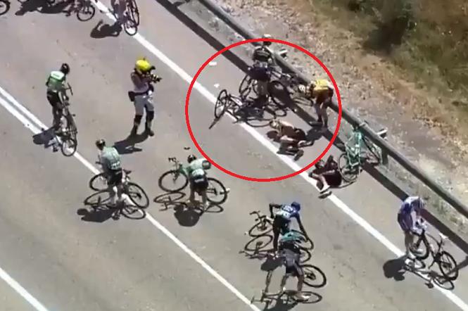 Gijs Leemreize po wypadku na Vuelta a Burgos
