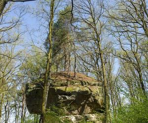 To miasto w Małopolsce jest kolebką turystyki. Legenda głosi, że założył je stryj Mieszka I