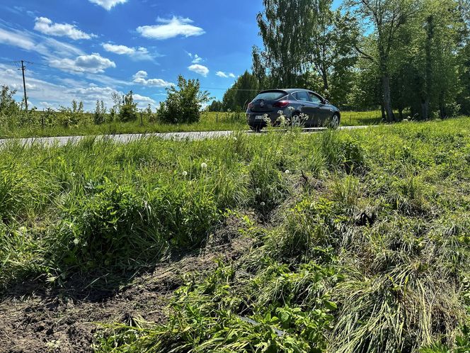 Listonosz Leszek wracał do żony z bukietem róż. Tragiczny wypadek wszystko przekreślił