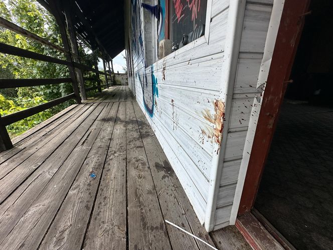 Rodzinny horror w dawnym tartaku