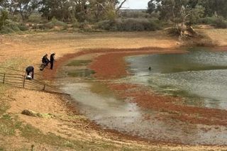 Tajemnicze zaginięcie 4-latka! Tylko jeden mały ślad