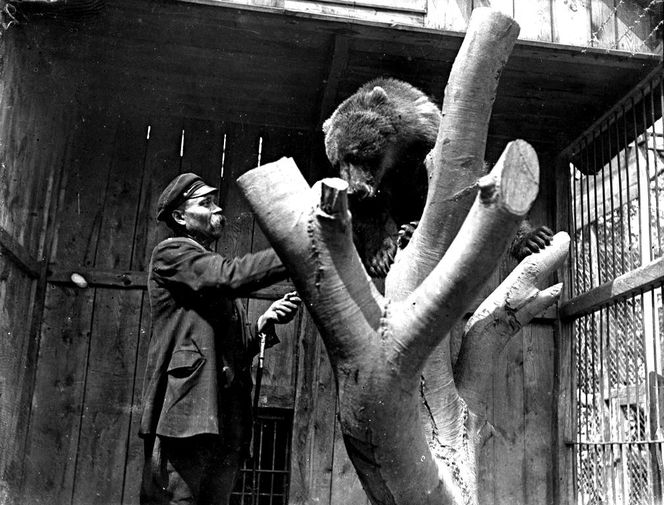 Tak kiedyś wyglądało zoo w Zamościu