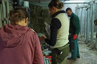 Nie żyje Diuna. Ulubienica poznaniaków