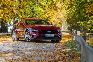 TEST, OPINIA - Ford Mustang Fastback GT 5.0 V8: najtańsze 450 koni na rynku
