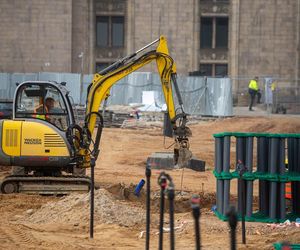 Na placu Centralnym posadzonych będzie 100 drzew 