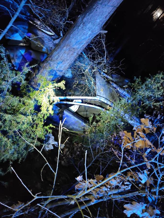 Piła: Zakrwawiony 15-latek wyszedł z lasu. W nocy pijany ukradł auto i roztrzaskał je na drzewie [ZDJĘCIA]