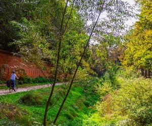 Park Fosa i Stoki Cytadeli w Warszawie