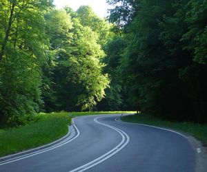 Drogi