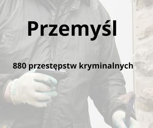 To tu na Podkarpaciu dochodzi do największej liczby przestępstw kryminalnych