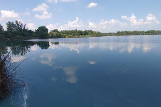 Żabie Doły zanieczyszczone zakwitem sinic. 