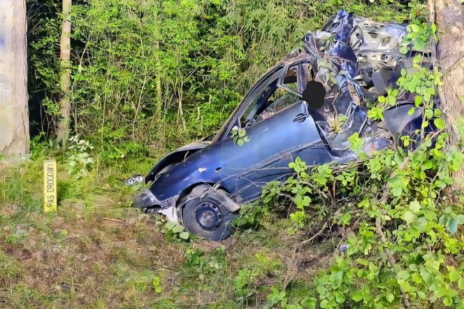 Kierowca seata nie żyje. Auto roztrzaskało się na drzewie. Tragiczny wypadek na DK 65
