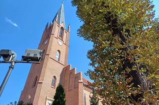 Ostrzeszów w barwach późnego lata [GALERIA]