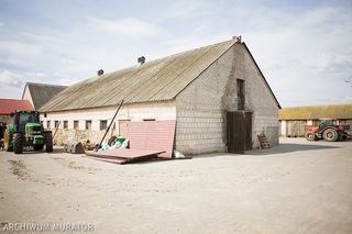Nawet 200 tysięcy złotych dla młodego rolnika na start. Unia podwaja stawkę i szykuje kolejne ułatwienia