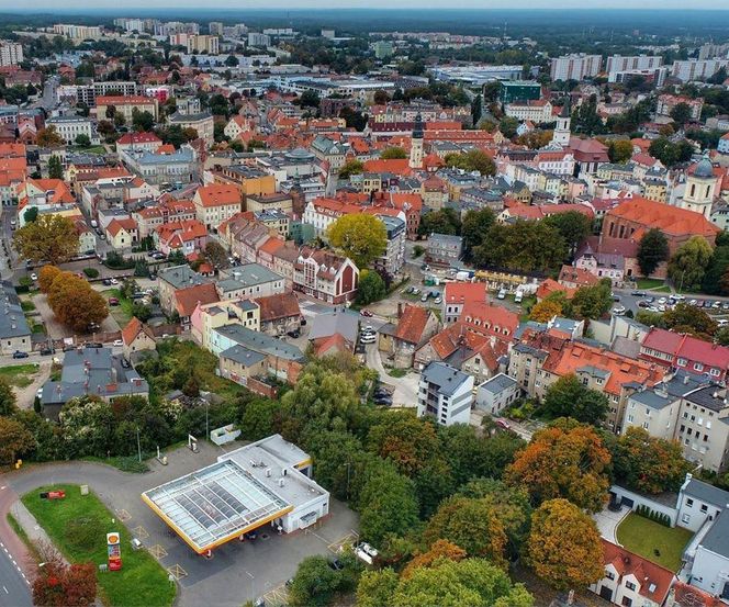 11. Zielona Góra