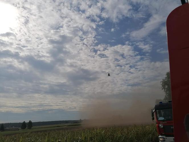 Drzewo przygniotło mężczyznę podczas prac leśnych!