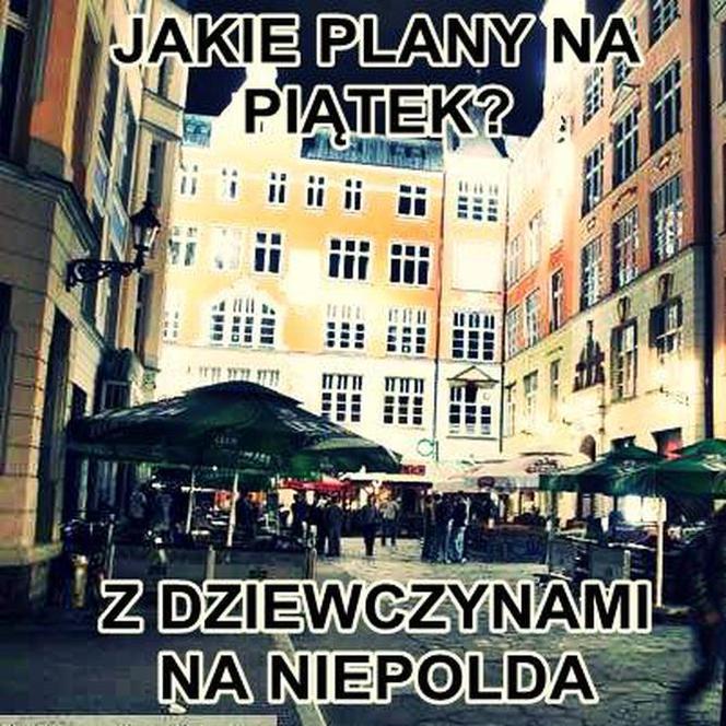 Typowy Wrocławianin