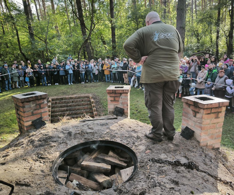 Węgiel z retort w sercu lasu. Włoszakowice odkrywają dawne tajemnice smolarzy