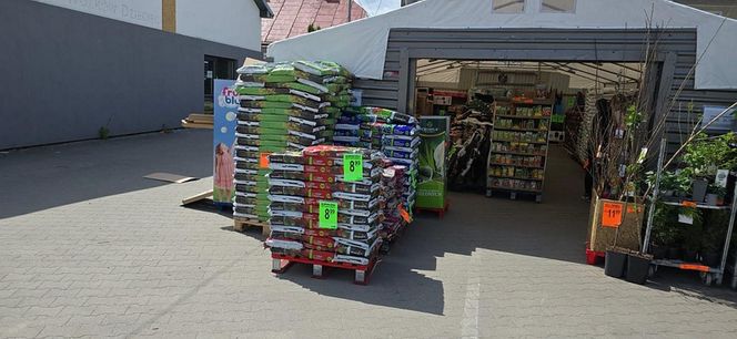 Biedronka na fali