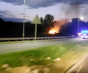 Pożar pustostanu w Rzeszowie [GALERIA]