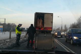 Niecodzienne zdarzenie na Maratońskiej. Na ulicę z samochodu dostawczego wypadło mięso, kierowca nawet nie zauważył