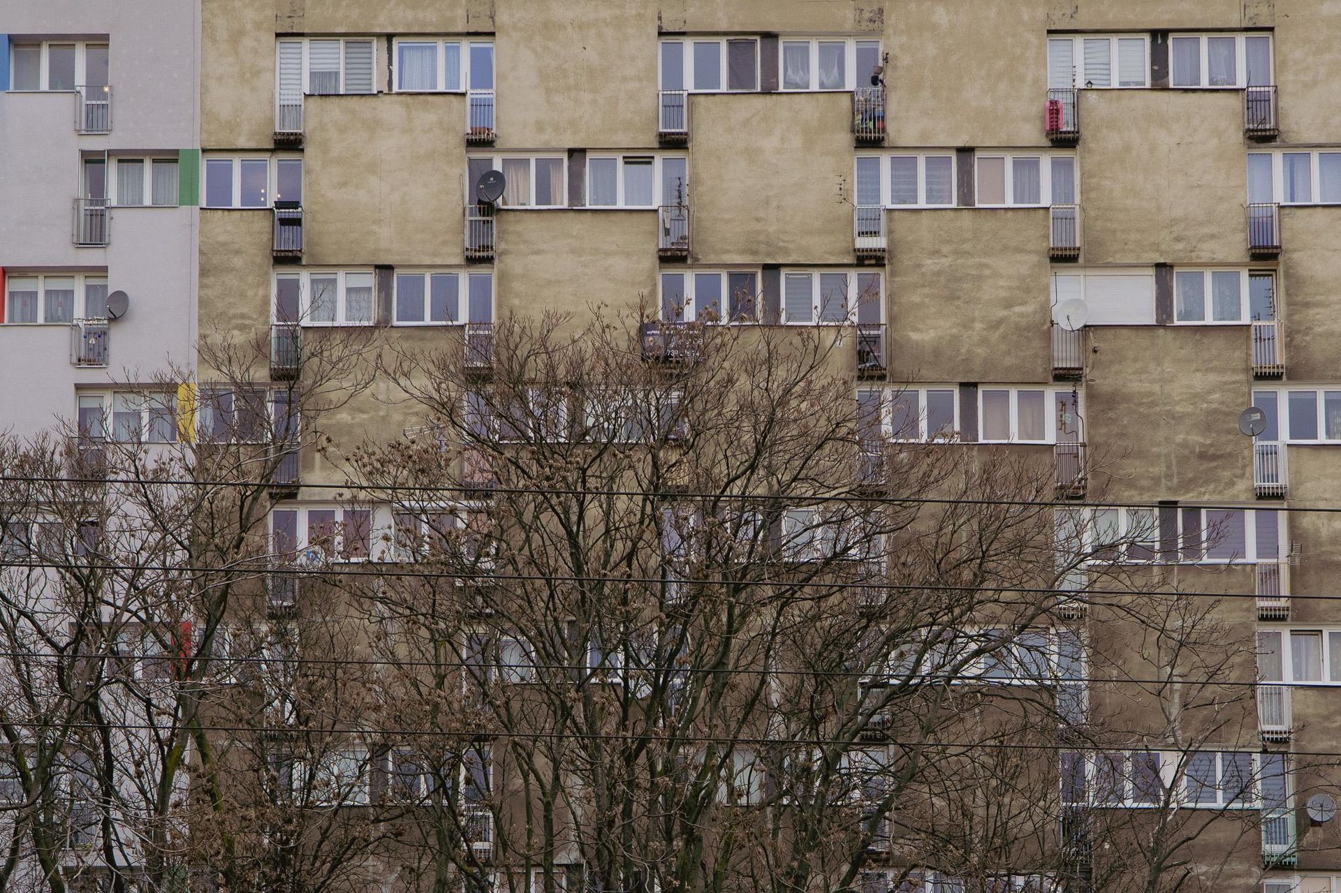 Grabiszyńska 133 we Wrocławiu. Fot. Julia Dragović