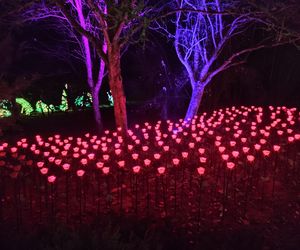 Park iluminacji w Lublinie