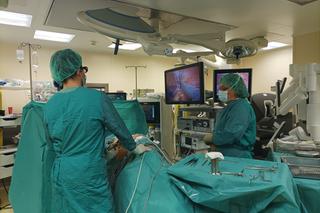 Warsztaty laparoskopowe w technologii 3D