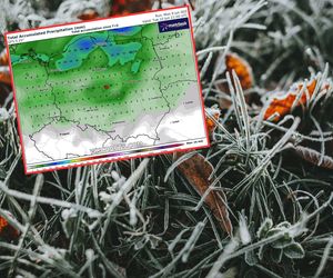 Brzydka wiosna nie odpuszcza. Do Polski wracają nocne przymrozki, które pokrzyżują plany rolnikom