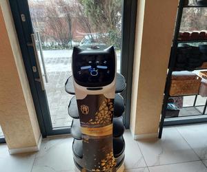 Nowa restauracja w Bydgoszczy. Gotują tu Azjaci, a do stołu podaje robot. Jest też pierwszy w regionie hot-pot